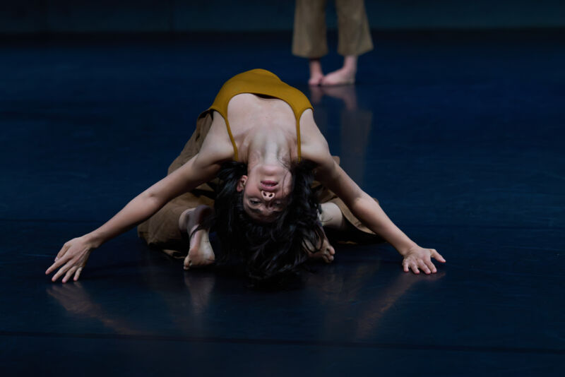 Nadika Mohn © Maria Cheilopoulou